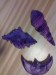 16102010638.jpg