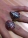 21102010733.jpg