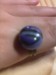 21102010736.jpg